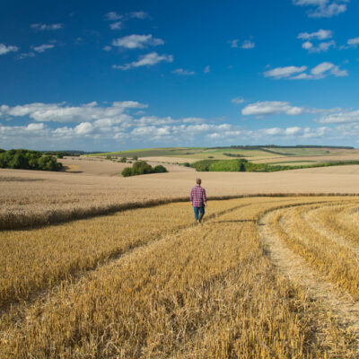 Farmer planning development