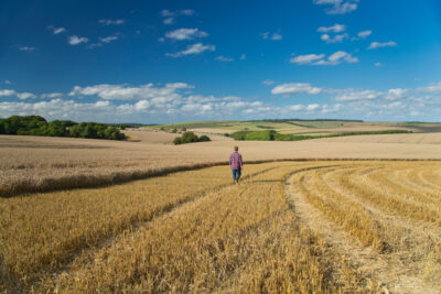 Farmer walking in field
