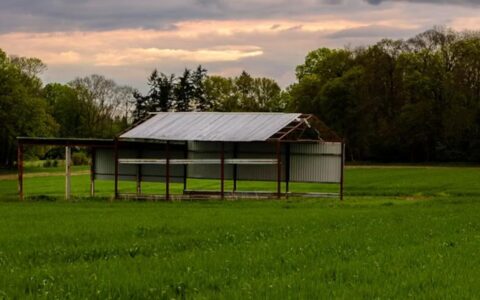 An open-sided temporary field shelter with a corrugated metal roof standing in a grass field, an example of the type of moveable agricultural structure that may not require full planning permission