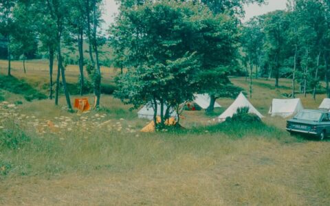 Canvas bell tents pitched in a grassy UK farm field for a glamping diversification scheme