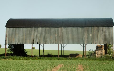 Old open sided agricultural building with corrugated metal cladding and a curved roof standing in a green arable field on a UK farm