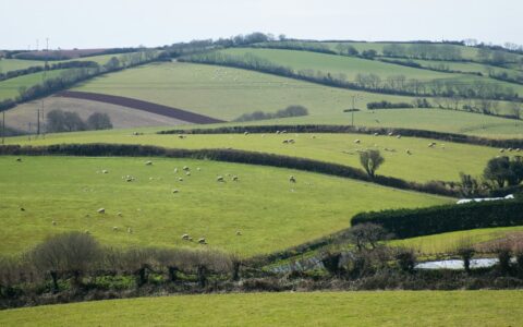 Rolling hedged fields with grazing sheep and a farm building in the English countryside, illustrating the planning application fee increases for farmers from 8 December 2026