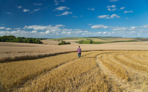 Farmer planning development
