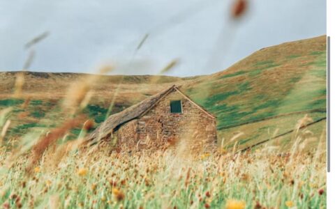 Stone barn surrounded by wildflower meadow on English hillside, perfect ELM habitat