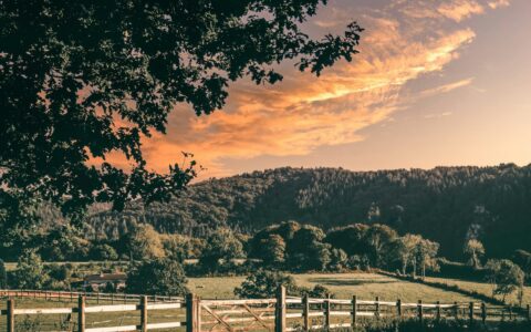 Wooden farm fence line crossing green countryside fields at dusk on a UK farm, illustrating agricultural fence height and permitted development rules
