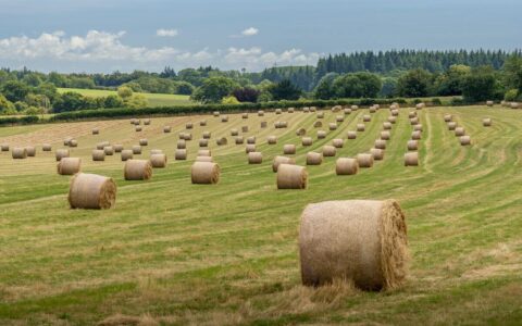 Hay bales on a UK farm field with green countryside and blue sky