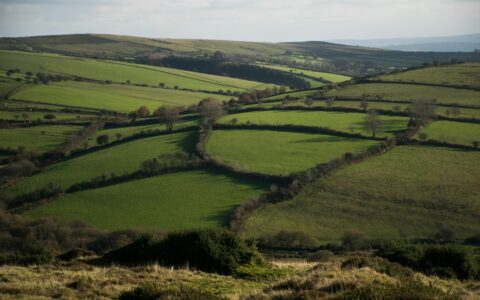 Aerial view of English farmland with rolling green fields divided by hedgerows, representing UK agricultural land affected by rising planning application fees
