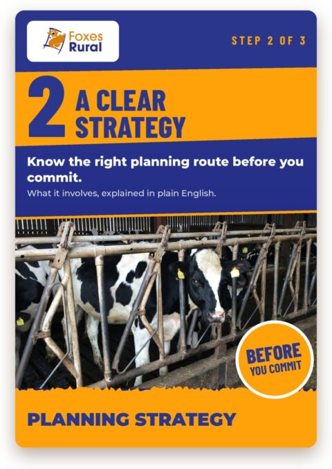 Foxes Rural step 2 of 3, a clear strategy: know the right planning route for your farm and what it involves before you commit. Photo of Holstein dairy cows at a feed barrier.