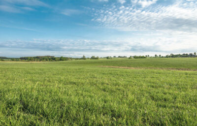 Field