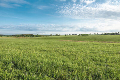 Field